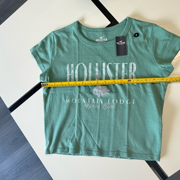 New NWT Hollister Mountain Lodge Graphic Crop Tee - Sage Green - Size Small - Picture 4 of 8